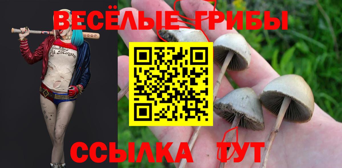 Псилоцибиновые грибы ЛСД Ессентуки